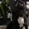 Profile picture of Wiia