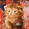 Profile picture of PaoloMark